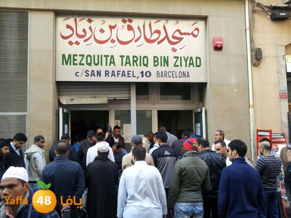 ahmedaboajwabarca (2).jpg